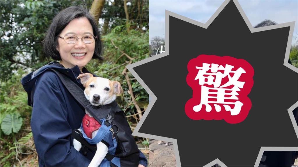 丹麥「白雪公主」竟是蔡英文本人！「遭野獸突襲10秒」互動逼瘋網：我暈爛