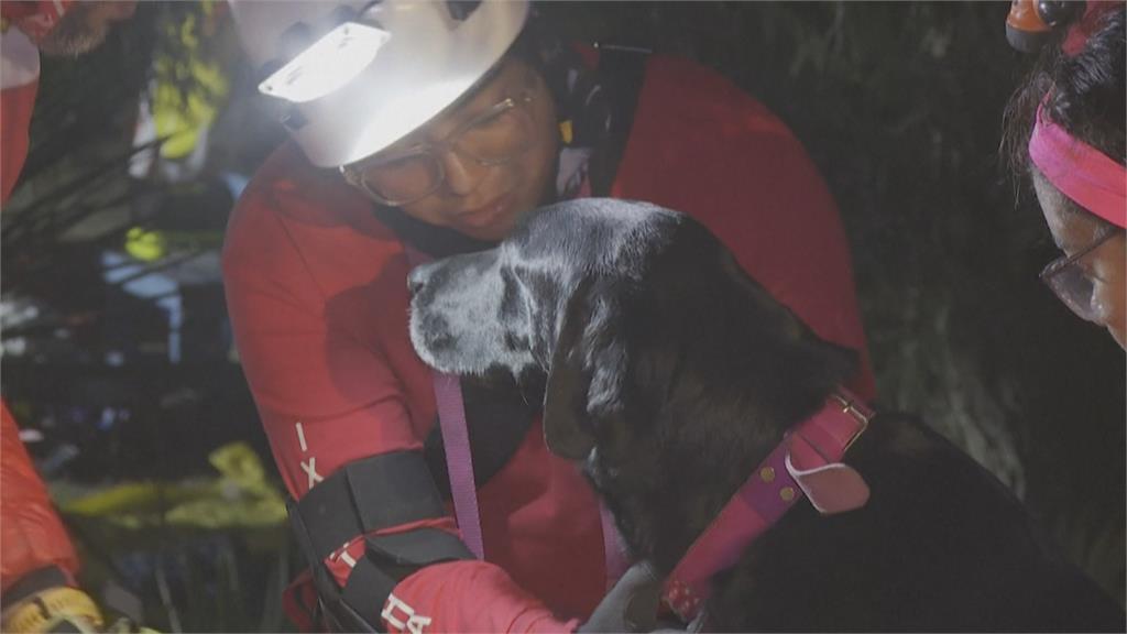 穿梭瓦礫堆尋受困者！　墨西哥地震頻繁　訓練搜救犬