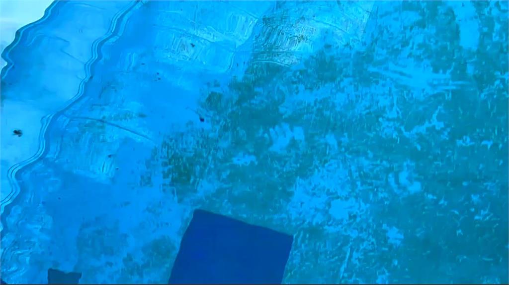 宜蘭羅東運動公園泳池水超噁！　長青苔「綠綠的」還有漂流物
