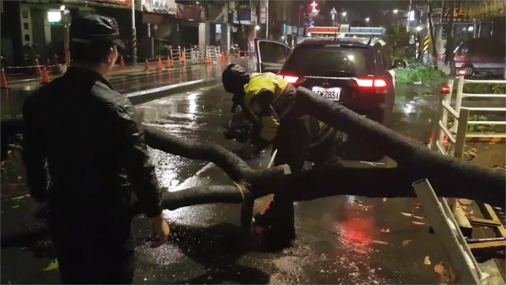 新北板橋行道樹倒塌　板橋往樹林一度全線封閉