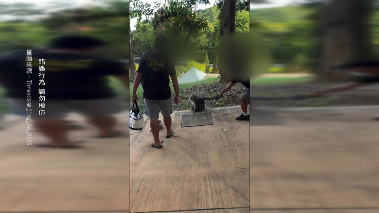 最壞身教！壽山動物遊客小孩面前　拿雨傘打獼猴