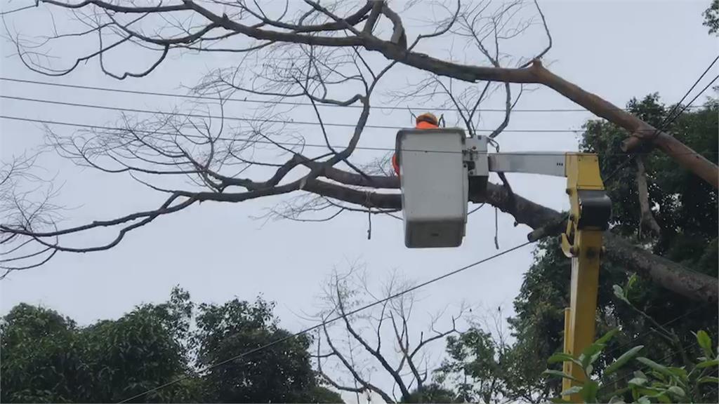 夢魘！寒流挾大雨過境　新竹高峰路又土石崩塌