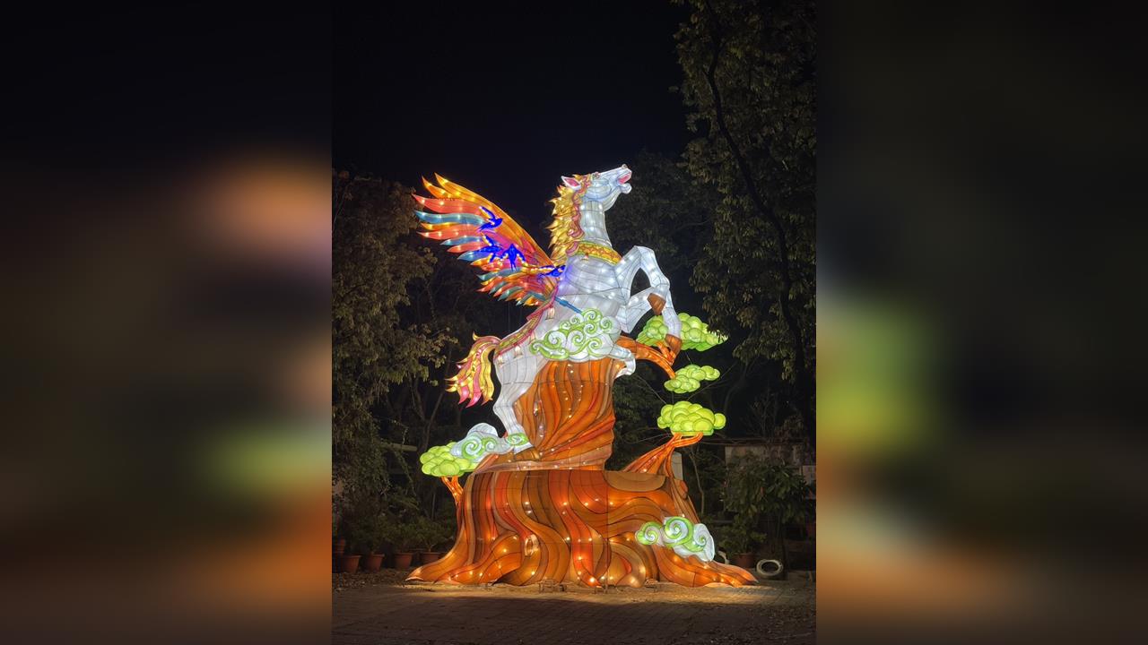 🐜 紅螞蟻生態世界的大消息來啦!