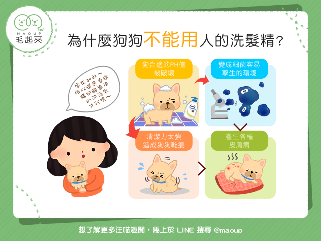 【汪汪康健】皮膚越洗越糟糕？！狗狗不能用人的洗髮精啦！