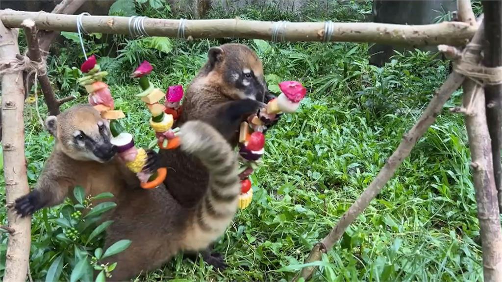 壽山動物園辦中秋野營趴　動物嗨嗑澎派烤肉大餐