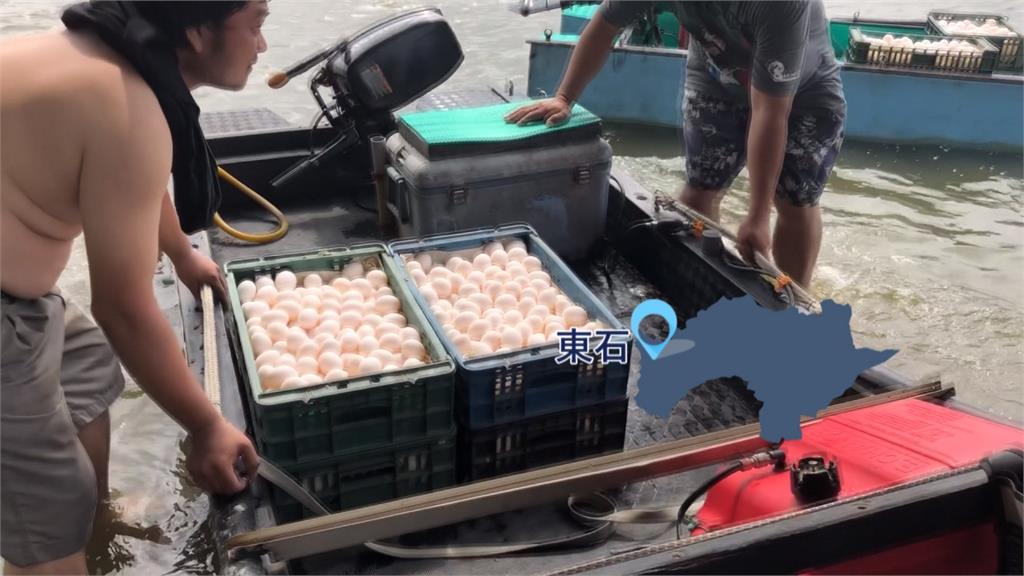 「機動泡棉船隊」出動救災 搶救雞蛋蛋農樂