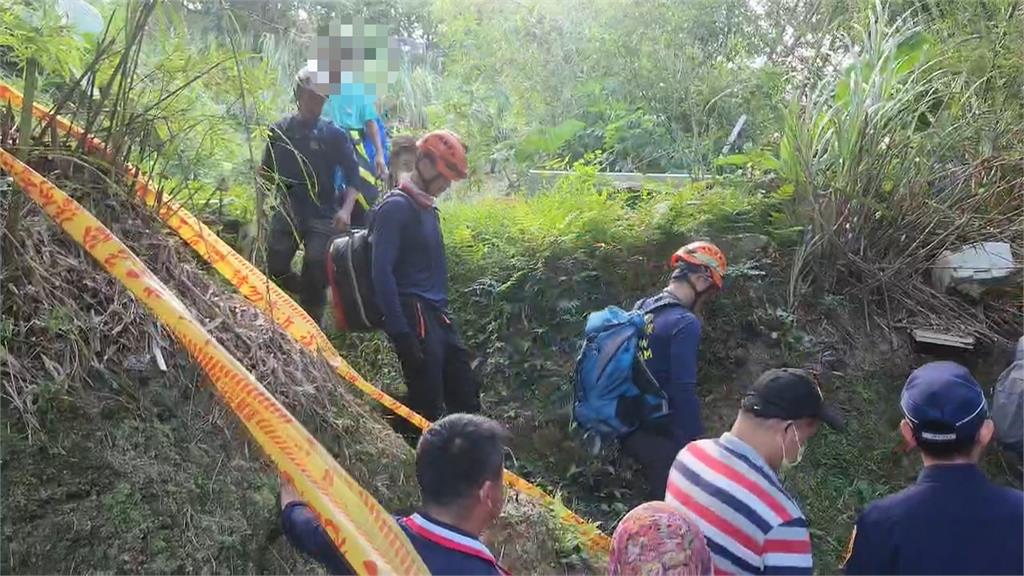 瑞芳蜂螫2死！　捕蜂達人：元凶是黃腳虎頭蜂