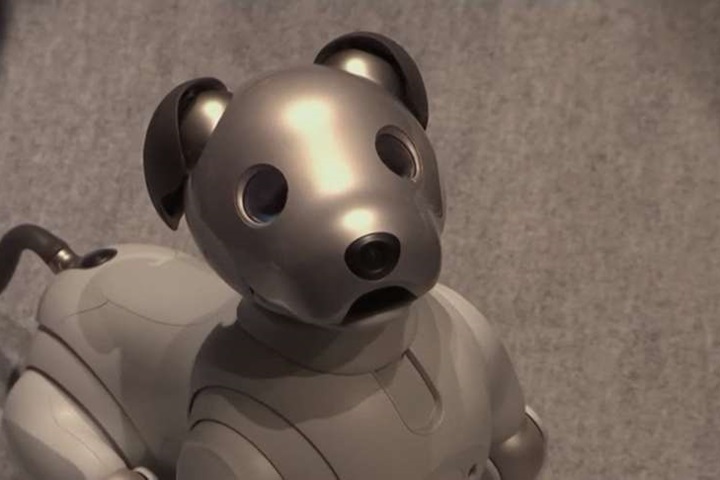 停產12年 Sony宣佈推出新一代電子狗「aibo」