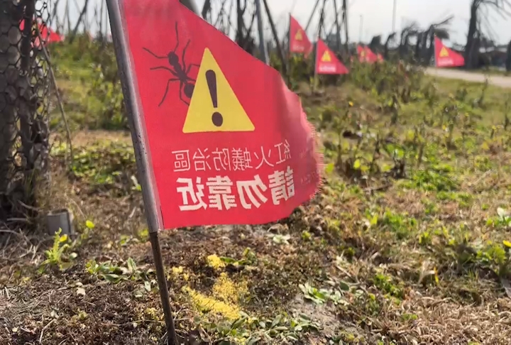 新竹觀光景點插紅旗！　「這生物」入侵引發安全疑慮
