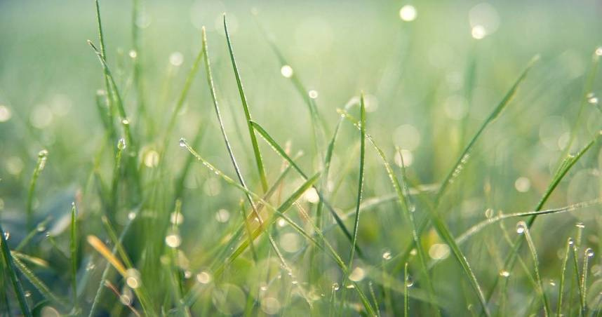 週日穀雨撞媽祖生！「7大禁忌」小心別犯　命理師曝超簡易開運法