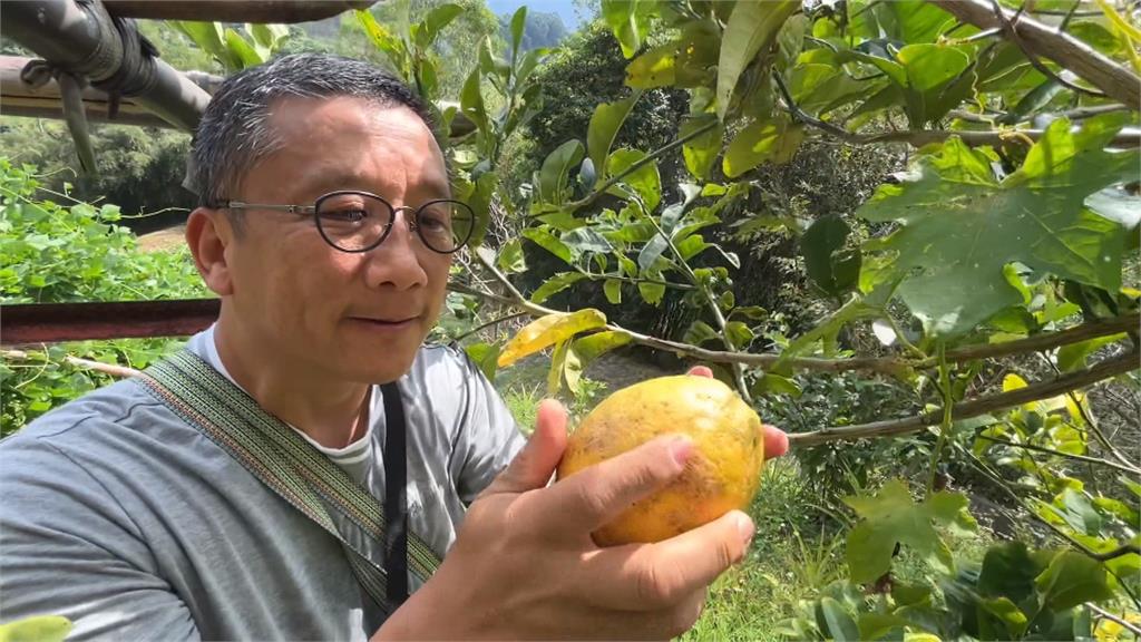 江慶鐘退休後遠離塵世喧囂　母子攜手打造專屬桃花源