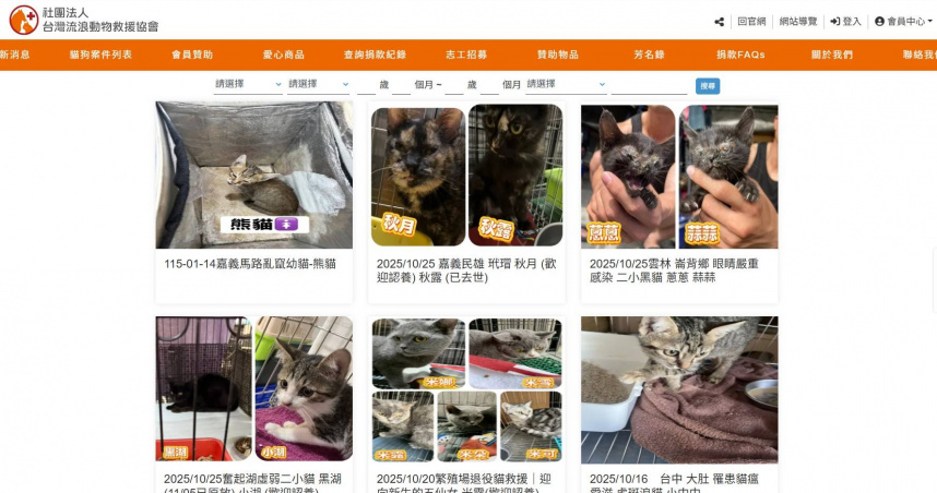 危機再起2／頻喊倒閉！流浪動物救援協會爭議多　曾因違法勸募罰4萬
