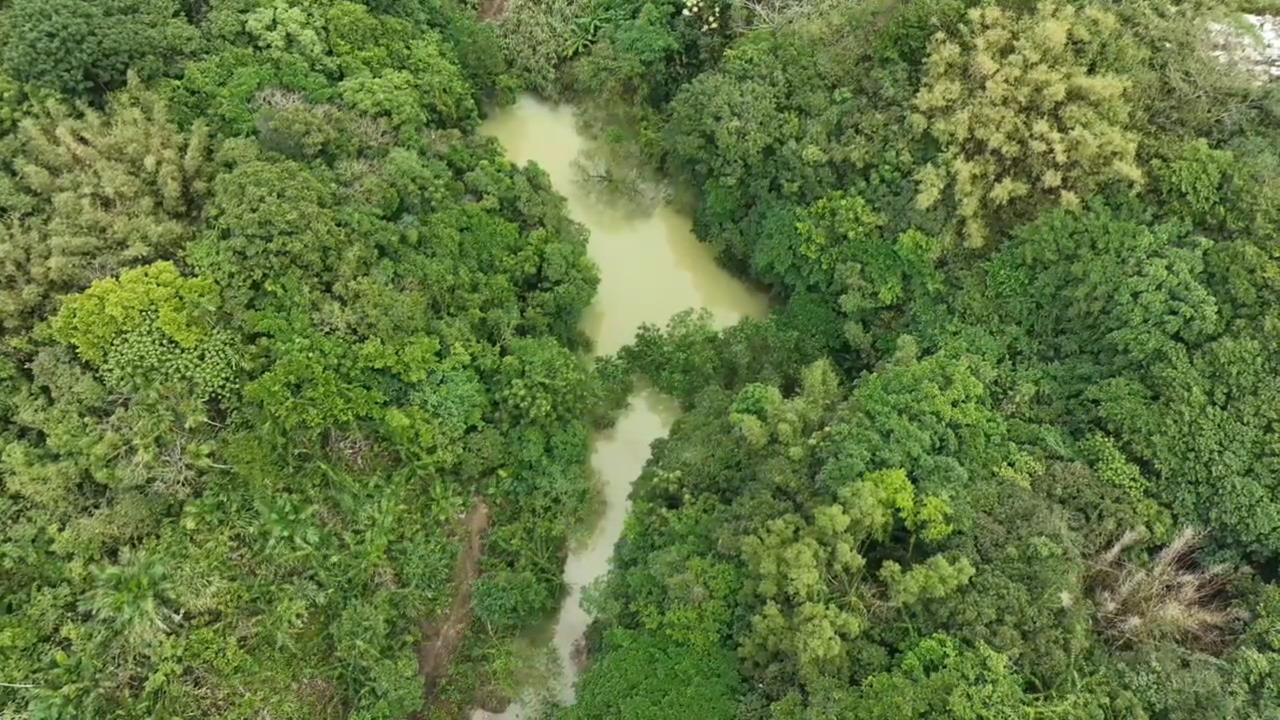 基隆調和街路面泥流不斷　市府追查源頭竟是「它」