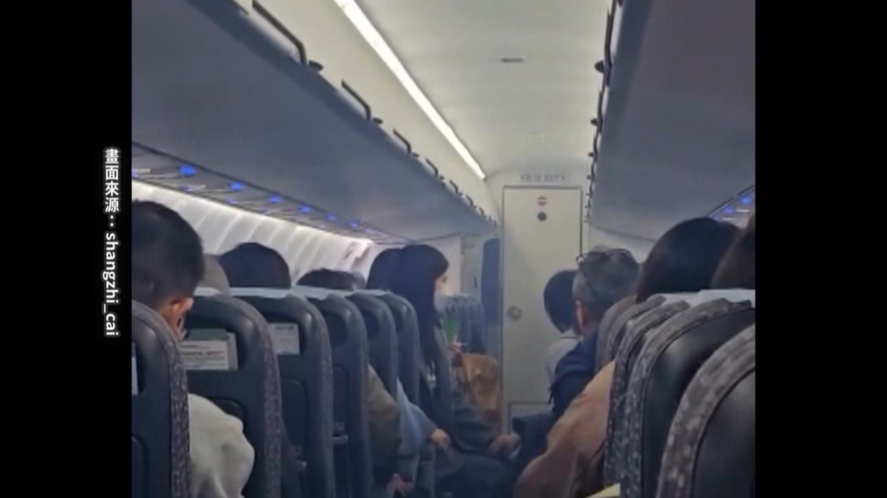 機艙內竄白煙飄怪味乘客不適喊下機 立榮航空致歉