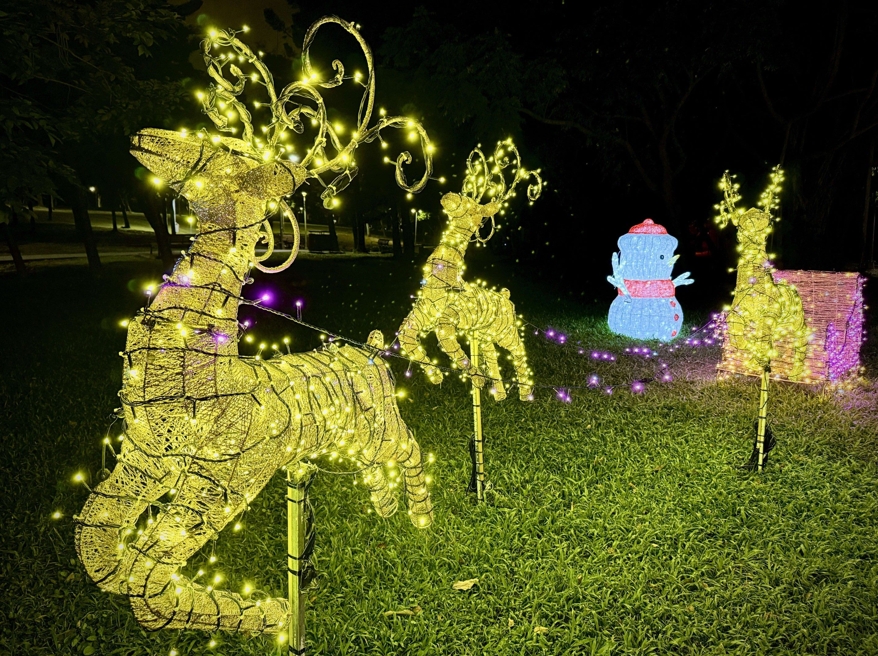 聖誕節必拍！青年公園、大安森林公園應景花卉燈飾夢幻上線