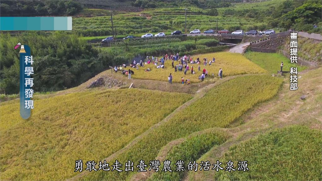 水梯田重現生機　延續土地資源與自然共生