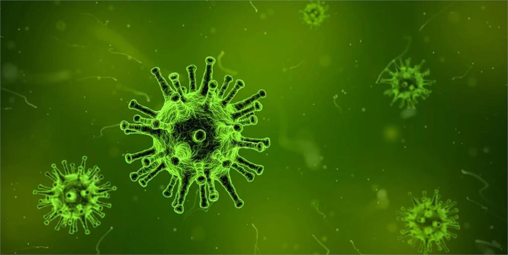 非洲爆發「馬堡病毒」致死率達88%　疾管署提升旅遊警示
