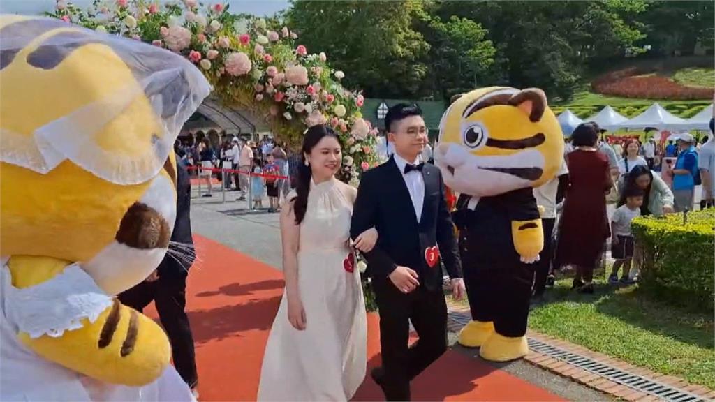 苗栗桐花婚禮登場！　「防詐宣導活動」意外促成良緣