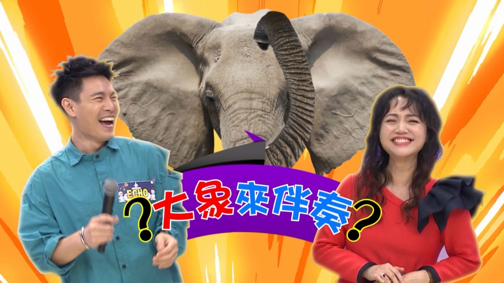 周杰倫老師來到《明星許願池》與秀蘭瑪雅唱出森林系的「黃昏的故鄉」