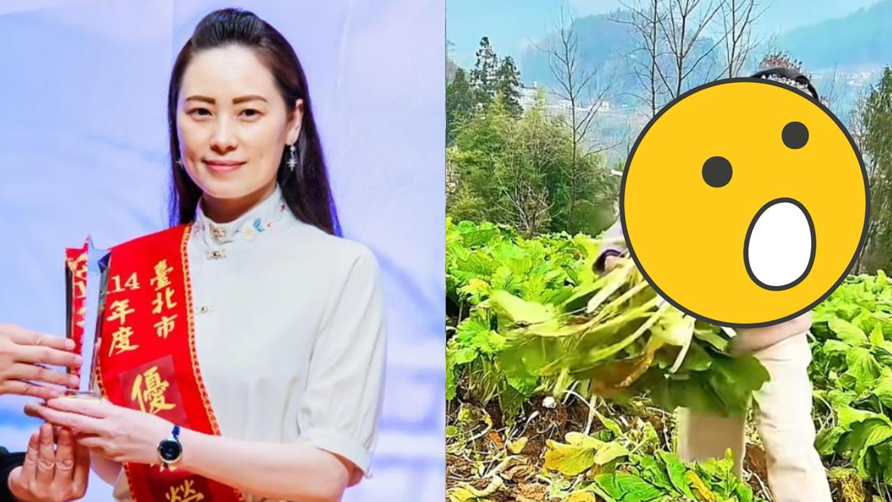 中配小微「遭遣返10個月」再吞鐵拳？「割菜餵豬」認了：被傷得體無完膚…