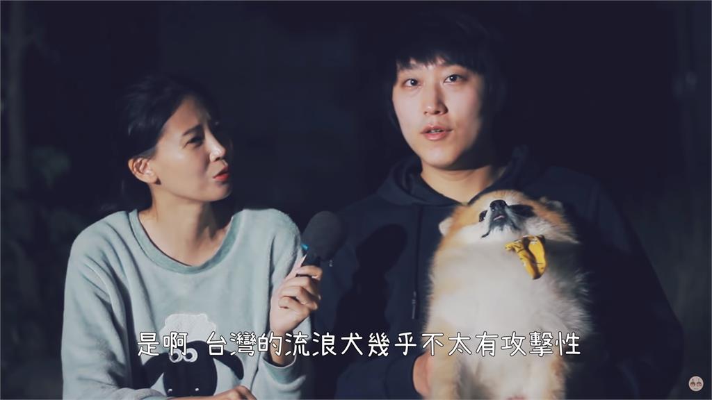 韓國網紅對台最深印象:對浪浪改觀　直言家鄉的狗「不輸狼」！