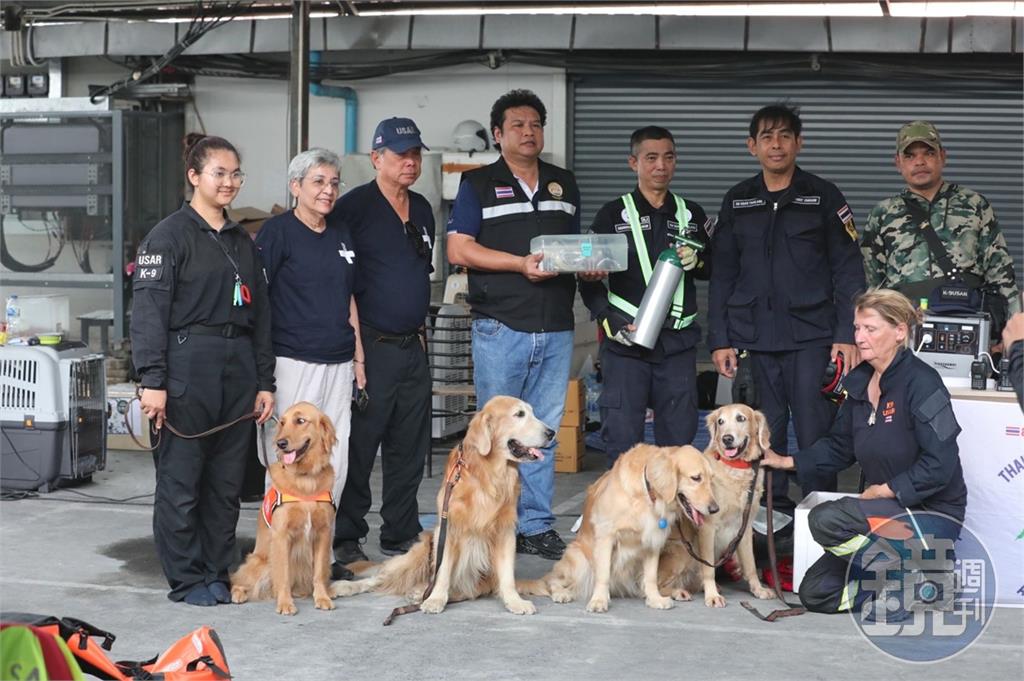 【緬甸強震直擊】泰國搜救犬成災區無聲英雄　勇闖瓦礫堆身影爆紅