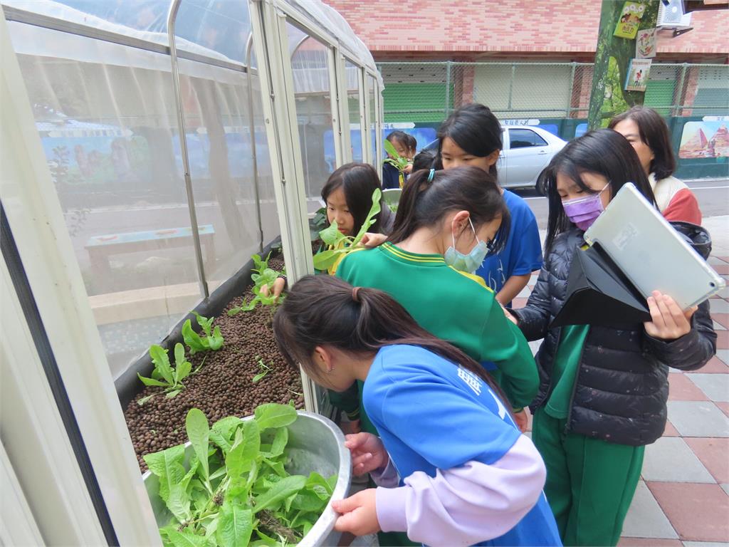 八德廣興國小深耕食農教育 打造田中央到餐桌學習旅程