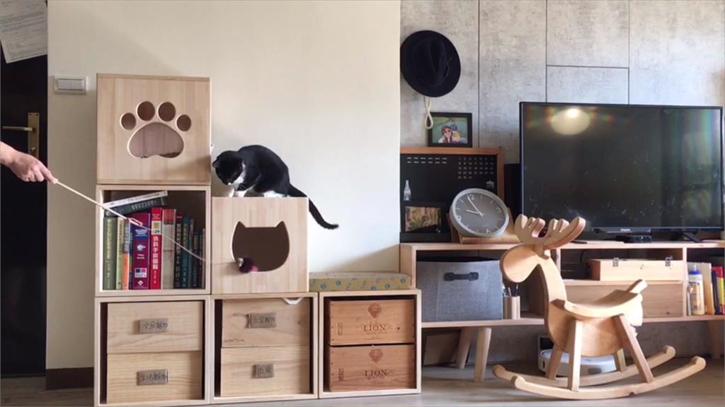 愛貓又追求完美 貓用家具全手工打造