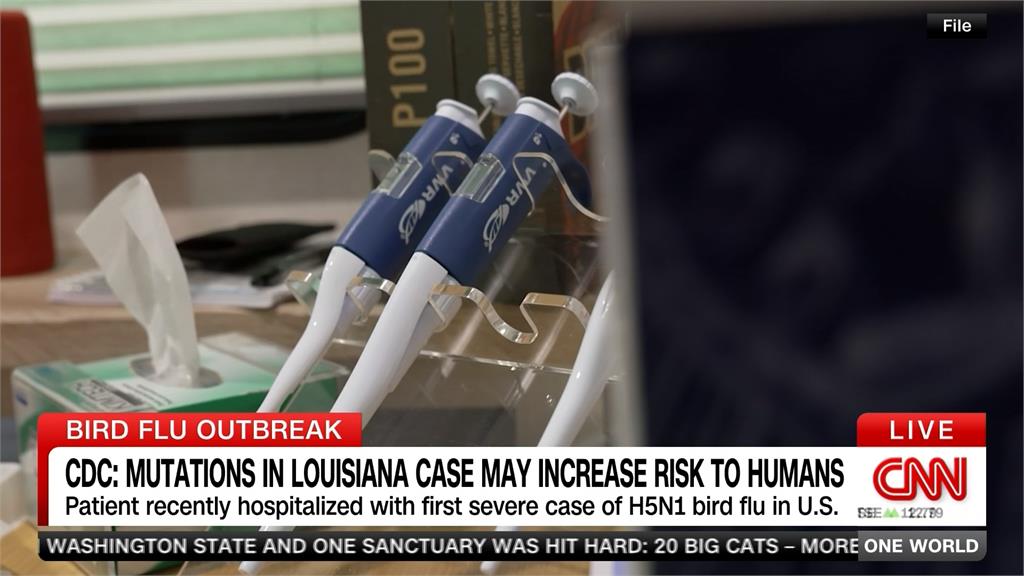 美首例H5N1重症病患驗出變異病毒　幸尚無人傳人
