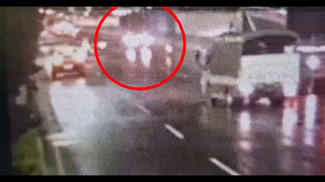 新莊深夜驚傳槍響！嫌棄車逃逸遭逮　男頸部中彈身亡疑「這原因」惹殺機