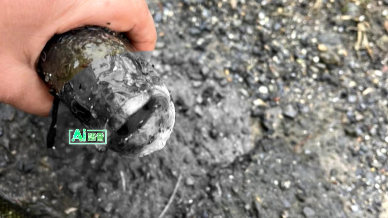 宜蘭餐廳養殖魚池「偷釣樂」 3大學生挨告毀損下場慘了