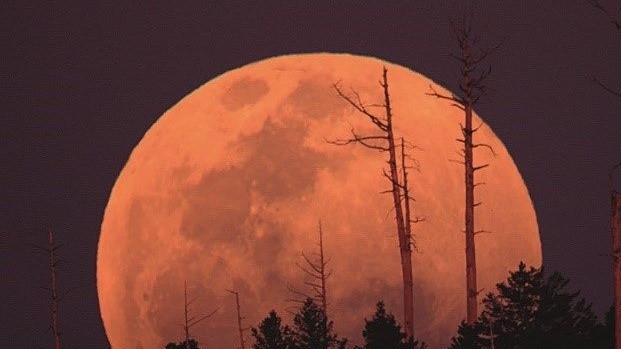 82年來最大「血月」！壓軸「月偏食」晚間5點登場