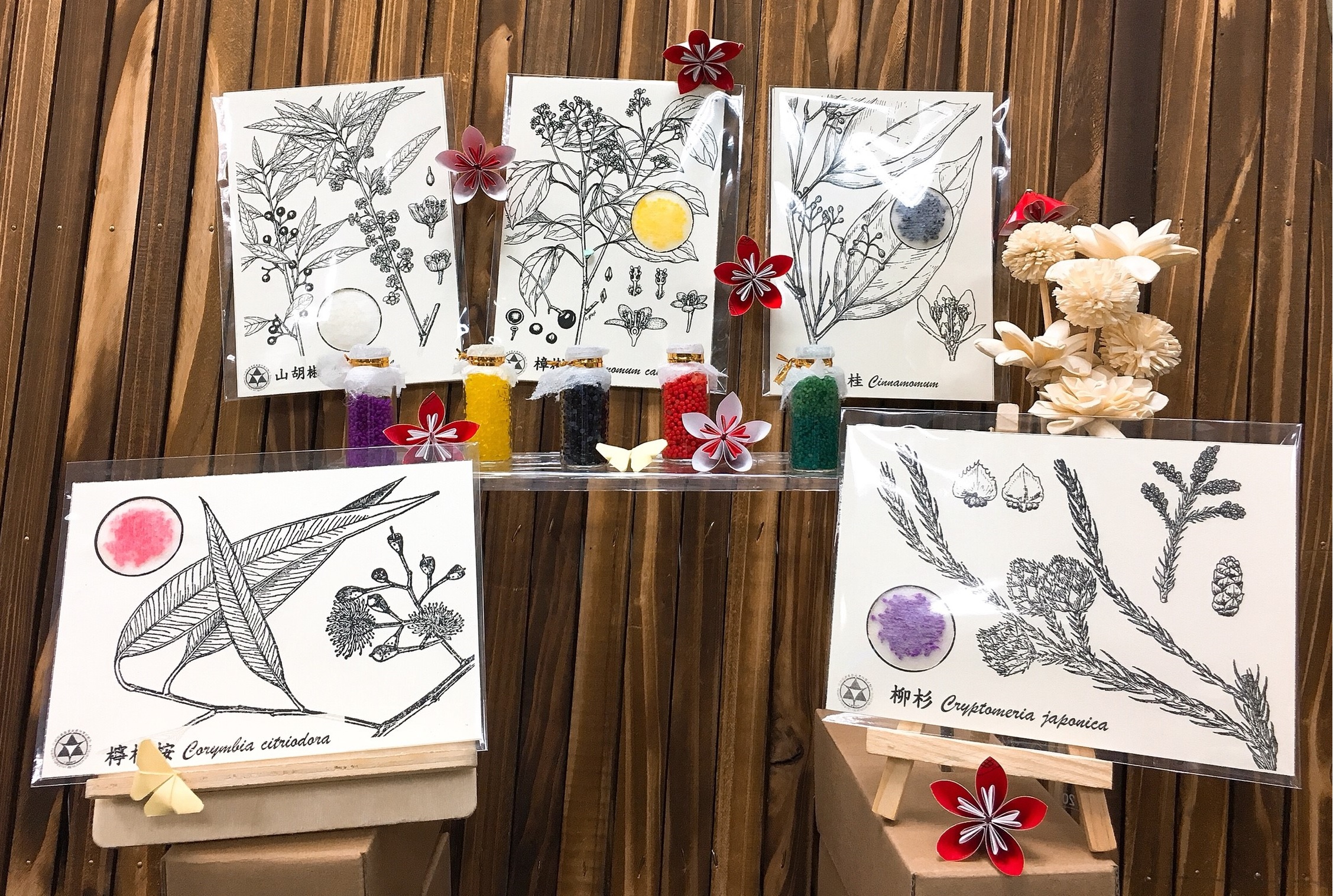 林試所致力開發林業循環經濟新產品
