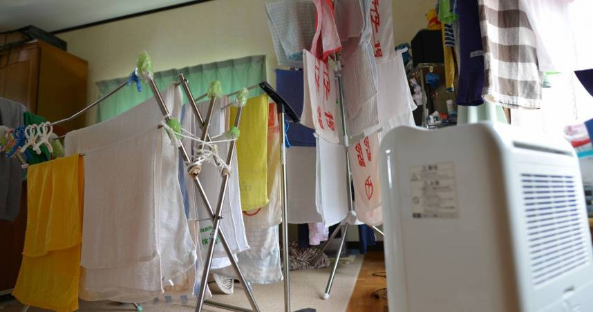 怕開除濕機「人體水分被吸乾」! 台電教1招解決
