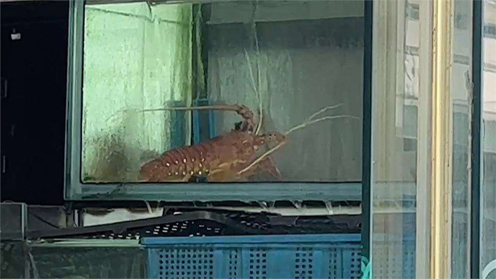 13人4萬吃海鮮升級版 香港6人點8菜花「400萬」餐廳回應了!