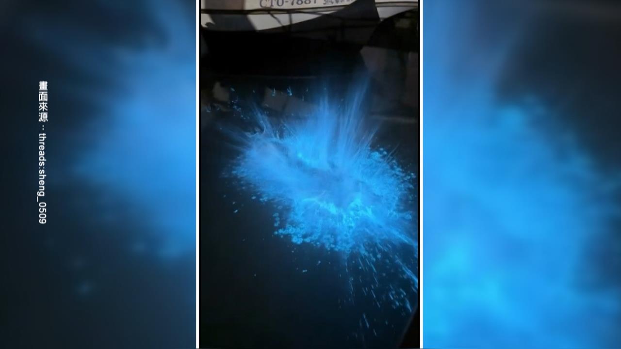 馬祖限定美景這也有！　苗栗龍鳳漁港「藍眼淚」現蹤引熱議