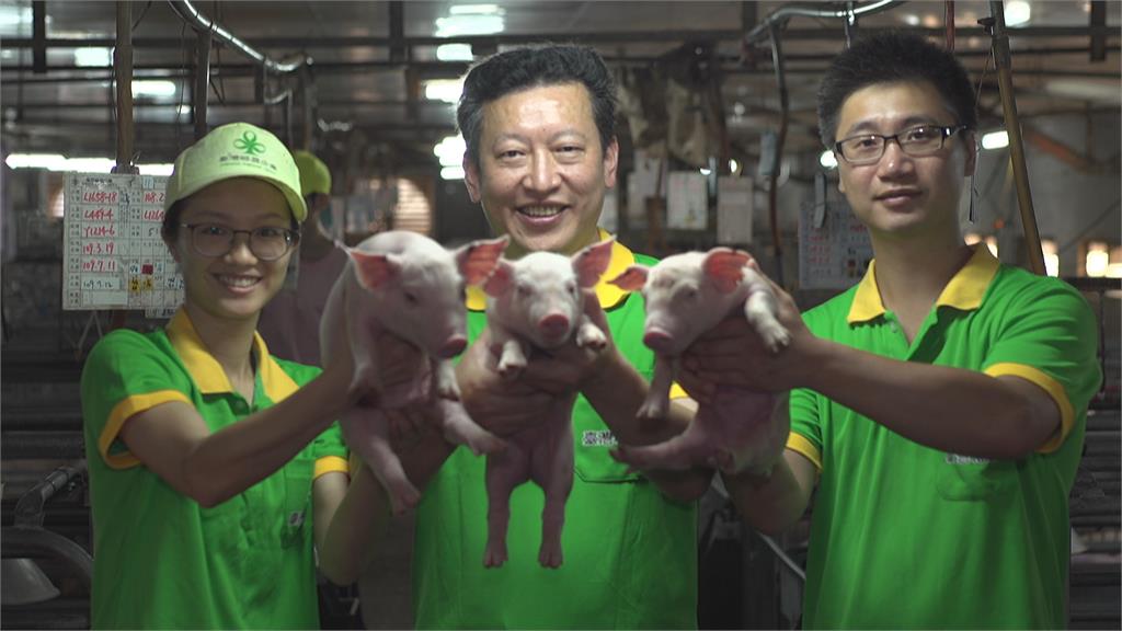 翻轉傳統產業創生機 台灣豬農蓋智慧化豬舍