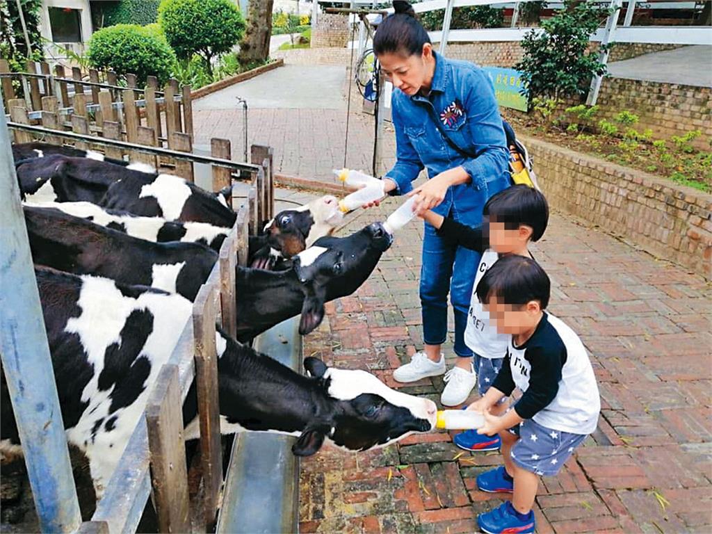 【陳明真暴瘦神隱3】為懷孕花5年做試管　「陳明真高齡產雙胞胎」親力親為照顧
