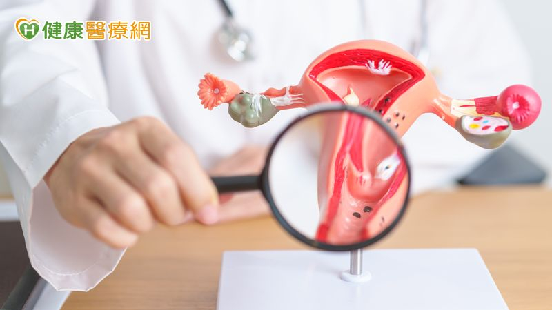 因備孕發現子宮頸癌前病變!醫籲:早期切除才能安心備孕