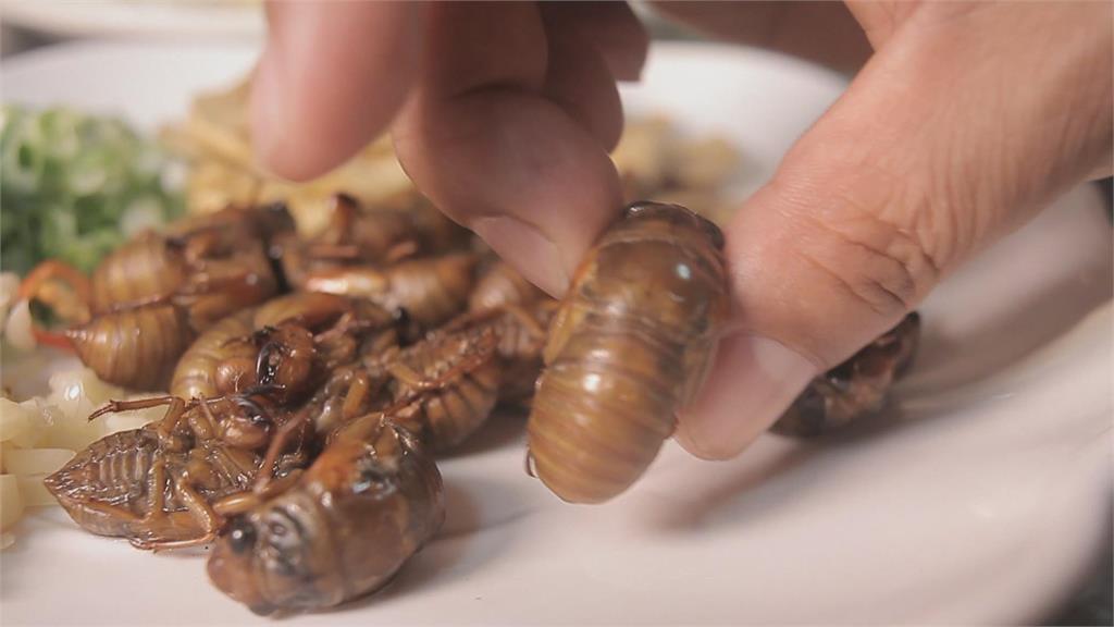昆蟲運用上百種　蟲蟲大餐高營養？
