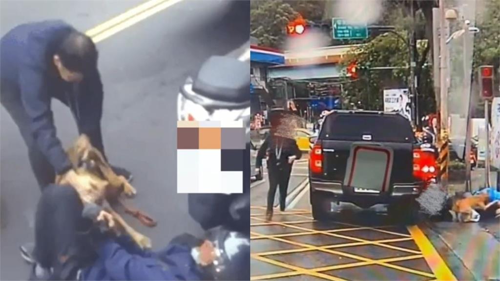 比特犬攻擊事件頻傳！達人曝純種特性揭台飼主「愛混種1類狗」：很兇