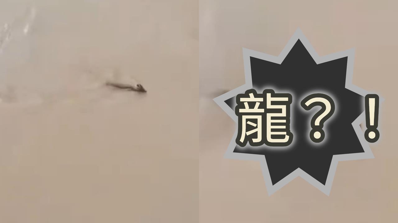 中國古代傳說「龍」現身了!遊客驚見「頭上長角怪物」湖中游泳畫面曝光