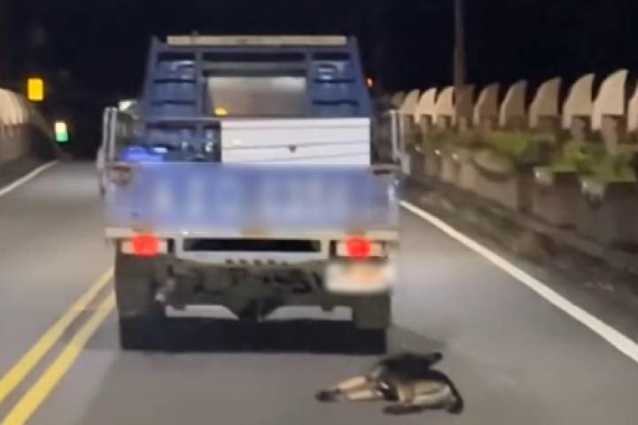 快新聞／惡意虐狗？深夜宜蘭頭城「黑狗遭貨車拖行」影片瘋傳　警方出手要查了