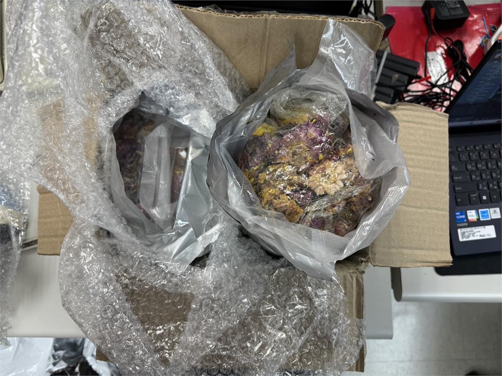 乾燥花夾藏大麻走私來台　不法份子招募移工躲查緝