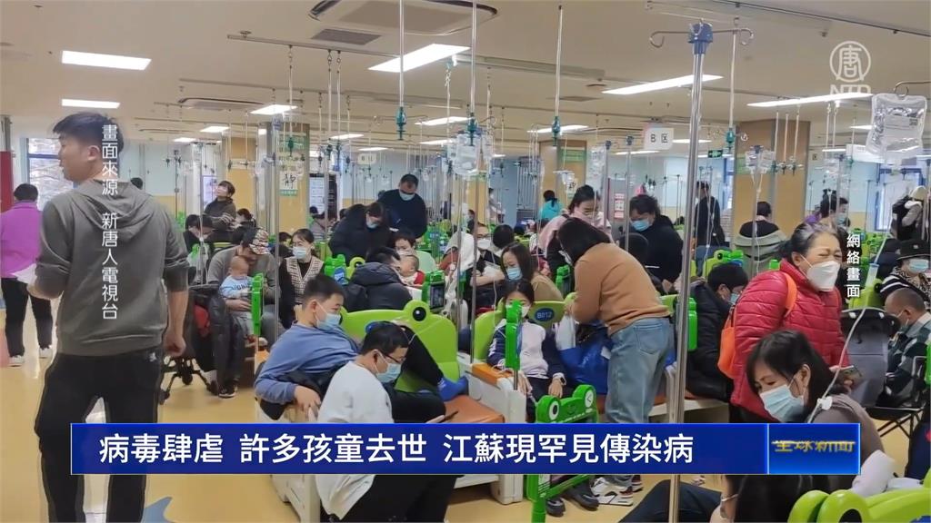 人畜共通！中國罕見傳染病「Q熱」　民眾憂變新冠2.0
