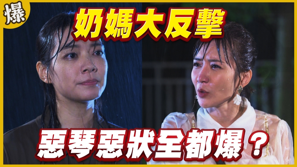 《黃金歲月-EP247精采片段》奶媽大反擊   惡琴惡狀全都爆？