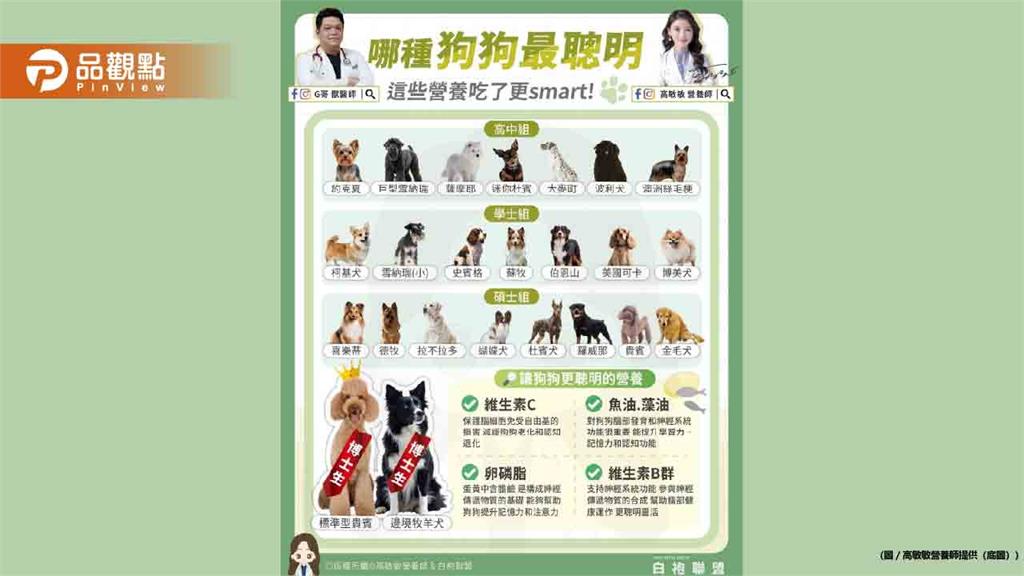 今天我們就一起來探索狗狗智商排行 看看你的毛孩子位於哪個「學術殿堂」