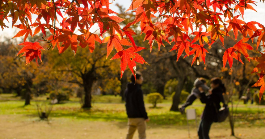 4生肖2025年底前家運極好 與親人關係和諧實現「闔家平安」