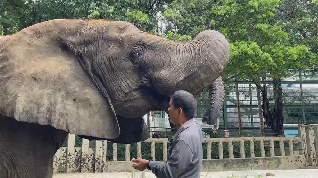 父親節致敬保育員　壽山動物園曬15位「超級奶爸」身影