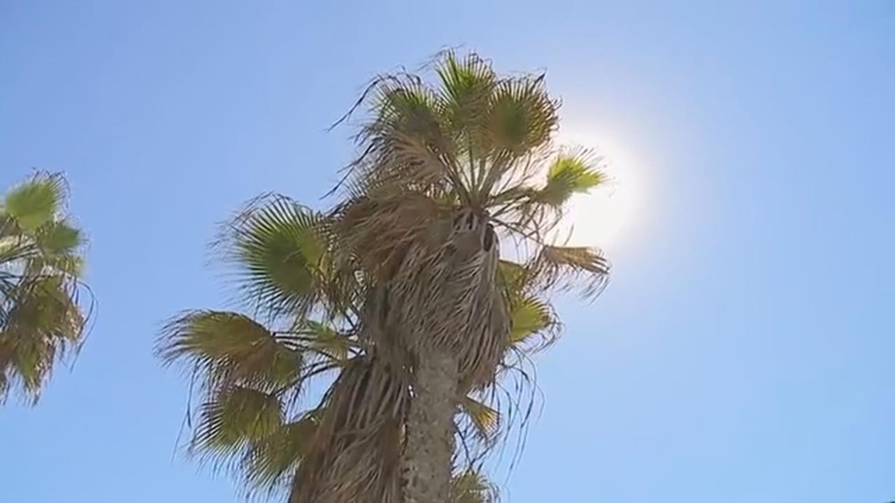 美國南加州熱浪發威！　晚上熱到睡不著「賣場冷氣賣光」